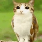 im a new soul (copy)