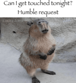 void in blue end - Sound