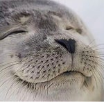 Nigerian Church Radio