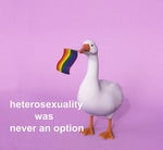 guy screaming green screen - Sound