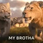 i always wanted a brother