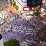 peters day at shibuya