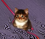 Volvo 240 Mainos Finnish Volvo 240 Ad Commercial