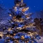 THEY ADDED A NEW TREE