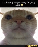 i swallowed shampoo, probably gonna die - Sound