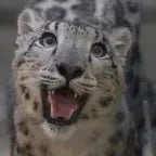 Low Frequency Bass Test