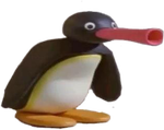 Noot Noot