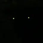 Are You challenging me?