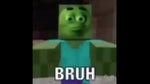 BRUH (Meme)