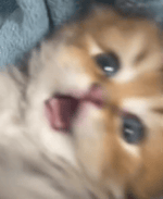 If this your is class