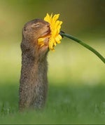 Demonic Screaming Kid