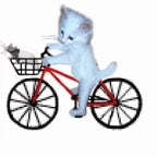 ME SE MIS DERECHOS CICLISTICOS ¿VALE?🗣️🗣️🔥🔥🔥 (copy)