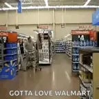 SDIYBT Walmart