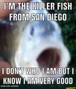 scooby doo running and stopping sound effect