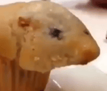 Number 19: mouse in baked beans