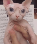 sma$her AHH VAI FUNK [Brazilian Phonk]