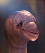 FO1 Death Message NAR 8