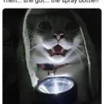 POV: the cat who lurks in your bathroom shadows