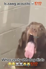 Pillar Chase 2 Uncle Samsonite hit