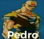 Voicy Belligo! (Bellingham meme)