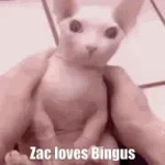 Zac