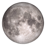 POOKIEN I LÅDAN [TubeRipper