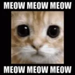 Montagem Miau