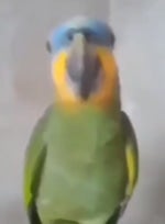 rapaz da gripe eu to ate bom