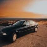 Lakatos Brendon ordító mormota aaaaa kalácsképű