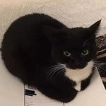 i farted and a poopy almost slipped out