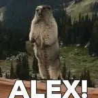 Alex