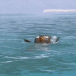 MIKE, WIki & The Alchemist One More