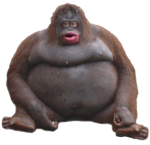 Ultra Instinct Theme (Official Version)