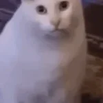 Slushii - All I Need Rocket League Intro Song (copy) (copy)