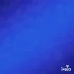 SABEMOS NUESTROS DERECHOS VALE?