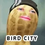 Bird City - The Burnt Peanut