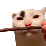 te amo sonido peluche