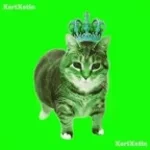 u i i a cat (rave remix)