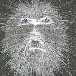 Cracking Consciousness