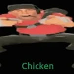 Scout Chicken