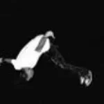 Playboi Carti Location (copy) (copy)