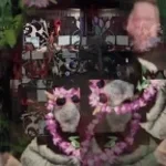 rrrrrrrrrrrrrrrrrrrrrrrr - Sound