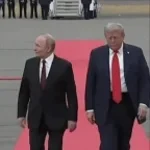 hello biden, its zelensky (copy) - Sound