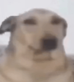 teorias de skibidi toilet