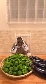 Its begining to gyatt like rizzmas