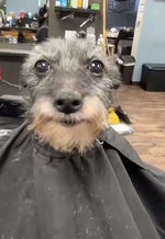 well well well (uncle ruckus)