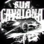 SUA CAVALONA (Slowed) (copy)