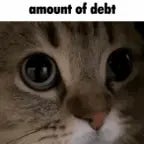 meow meow meow meow meow