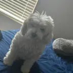 Where are your fingers (copy)