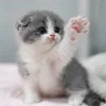 Where are you going?